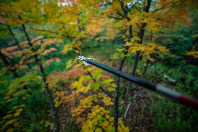 zone_get's tweet photo. There are two different types of broadheads out there when it comes to #bowhunting - mechanical and fixed blade broadheads. Check out the full video to learn the pros and cons of each type of #broadhead: https://t.co/MnbCfY0WUD  🏹 #bowhunting #bowhuntingtips https://t.co/exhgAmtQfN