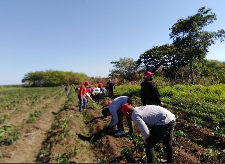 LazaritoGarcia1's tweet photo. "Tierra, cuanta haya debe cultivarse: y con varios cultivos, jamaz con uno sólo.
Industrias, nada más que las naturales y directas"
JOSÉ MARTI
#somos_continuidad #patria_o_muerte #vamos_por_mas https://t.co/M2eWw5p6EZ