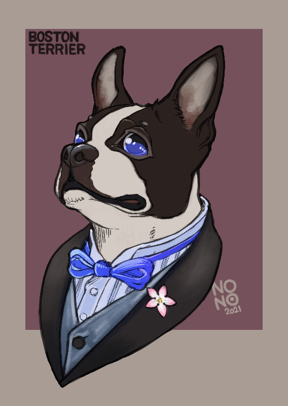 けものののの ボストン テリア Previous エアデール テリア T Co Nioggsyjjs Nononodogs