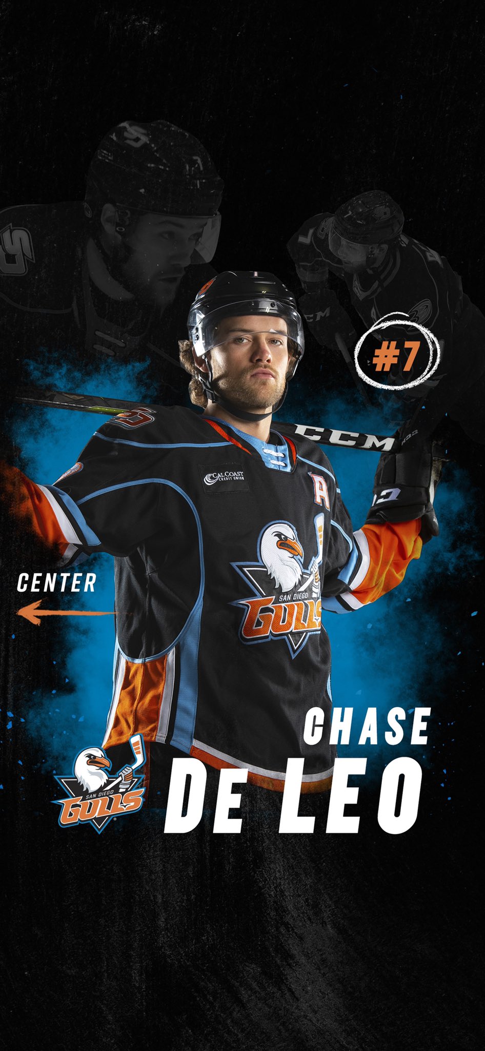 San Diego Gulls (@SDGullsAHL) / X