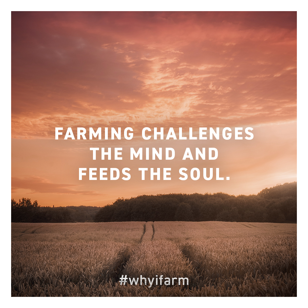 It’s not always easy. But’s it’s worth it. #whyifarm