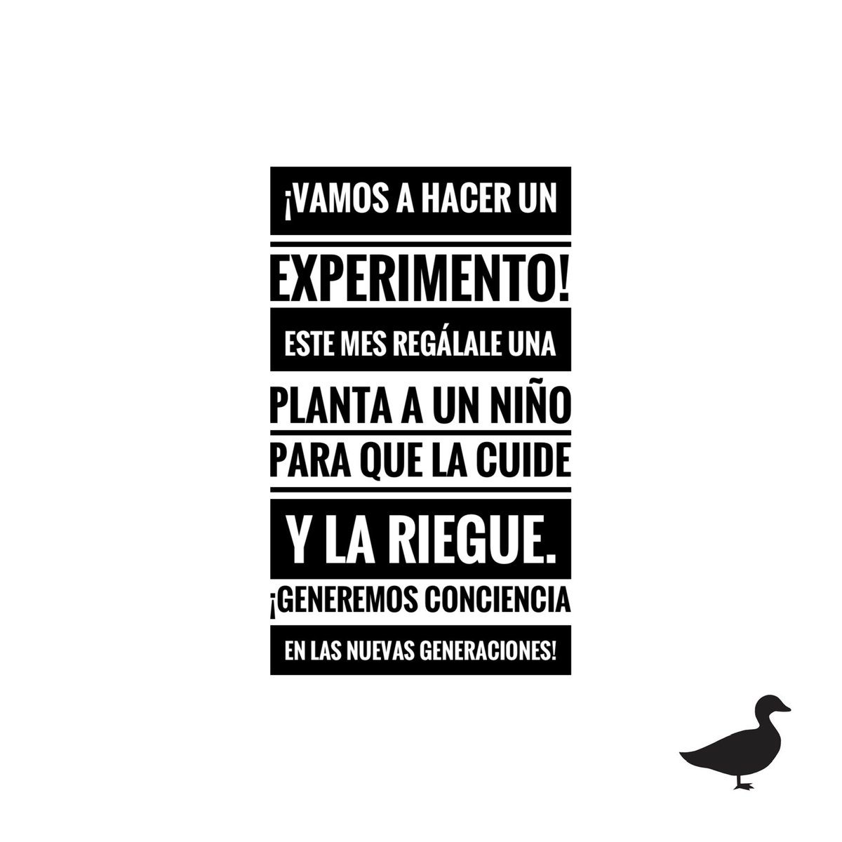 duckpots (@duck_pots) on Twitter photo 