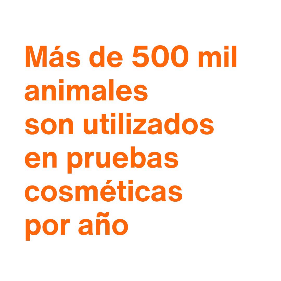¿Qué puede hacer una marca de belleza por el mundo? Desde 2006, Natura no realiza pruebas en animales garantizando nuestro compromiso y procesos. #CrueltyFree