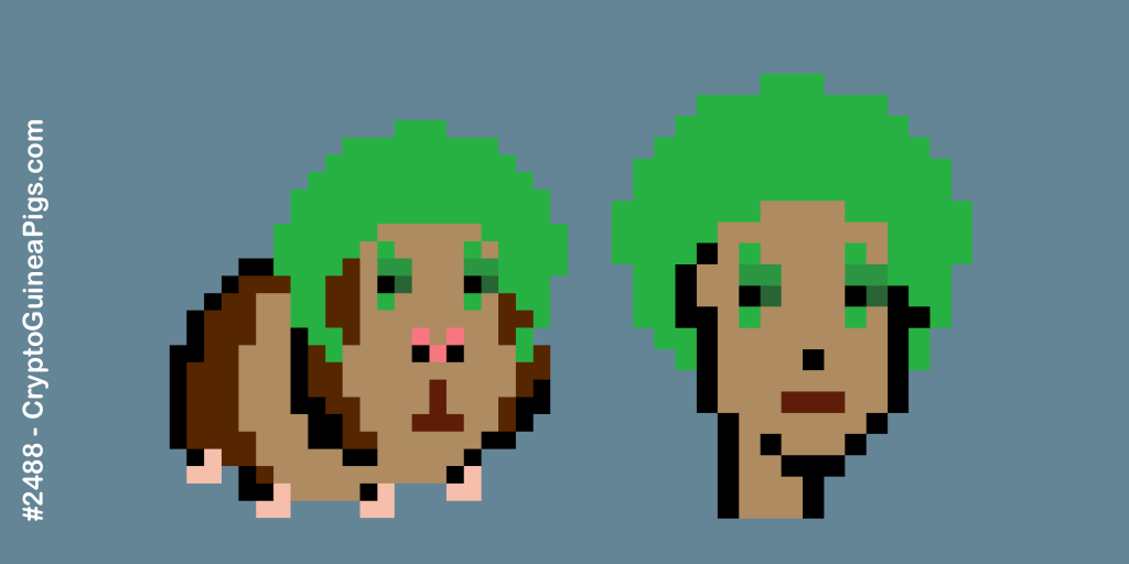 CryptoACollect's tweet photo. Pappapara parapappapara🎪!!! Ladies and gentlemen we have a new drop🤹‍♂️! CryptoGuineaPig #2488, you can't confuse it. He has Clown Eyes Green &amp; Clown Hair Green!
#nft #nftcommunity #nftart #cryptoart @NFTs 
https://t.co/iretLUvXdJ https://t.co/D9v5LoiWrd