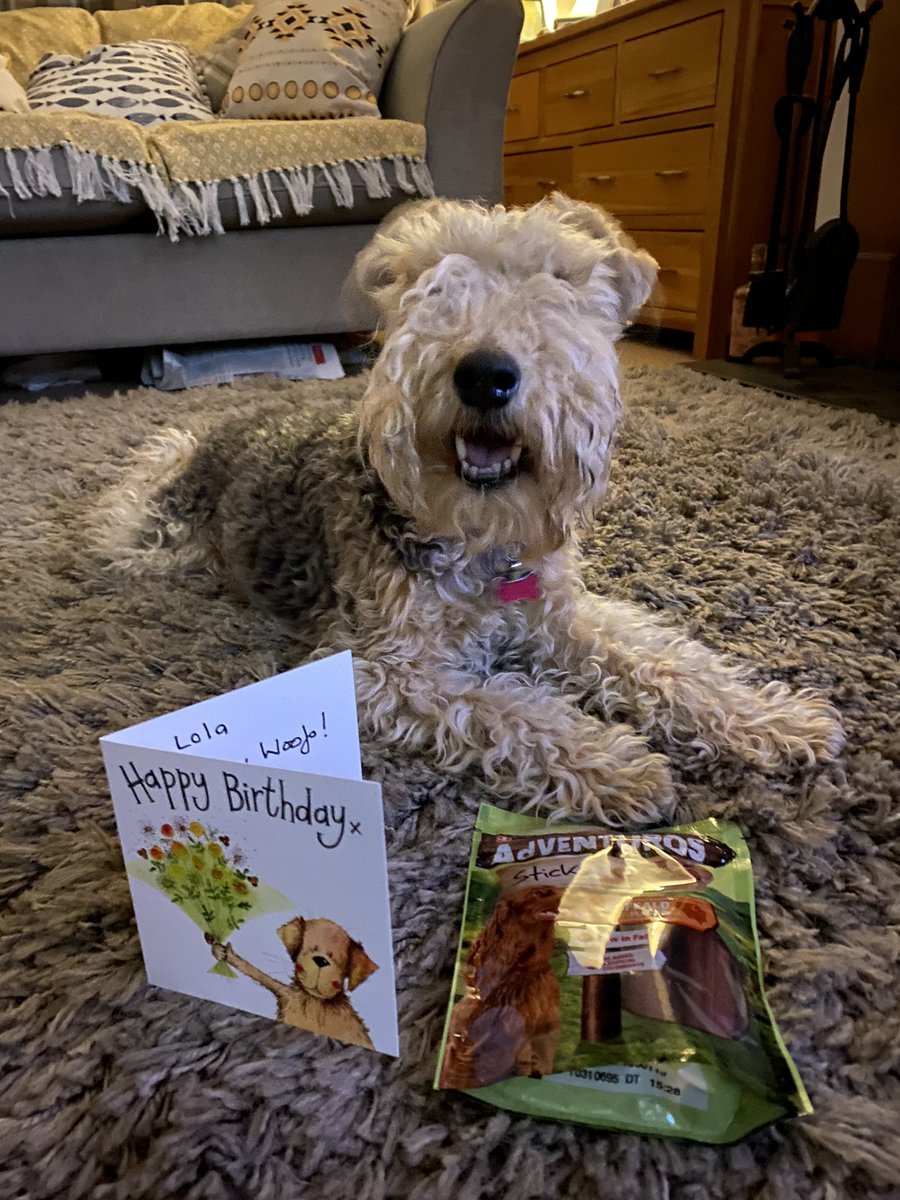 Thank you very much Miss Mollie for my birthday card and treats, I’ve just had one and they are very yummy 😋 🤗❤️<a href="/ApsoMollie1/">🌈The Real Miss Mollie Apso🌈</a>