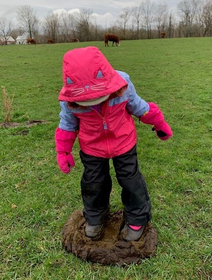 steve6627's tweet photo. @Campbellgrain @BirnamPork we've got a 3 year old manure checker, but we'll probably need to keep her😅 https://t.co/1lFzVvQK07