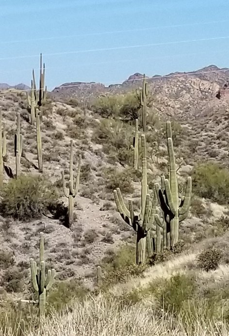 water_watcher90's tweet photo. Superstition mountains and Sedona https://t.co/17wMBQpRSx