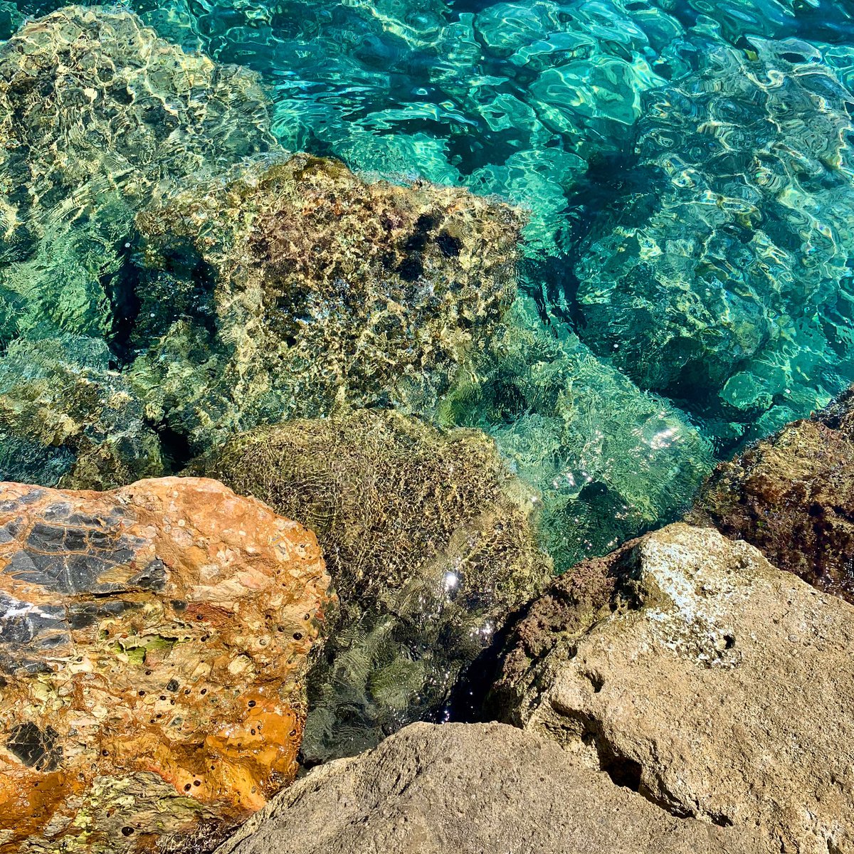 Instagram adam.valihora   

#liguria #italy #lamialiguria #italia #europe #bellaitalia #color #riviera #sealovers #italianstyle #italian #landscape #italiandesign #colorful #fotoitaliane #fotografia #love #sea #amazing #smile #mer #lombardia #piemonte #live #pics #mare #onde