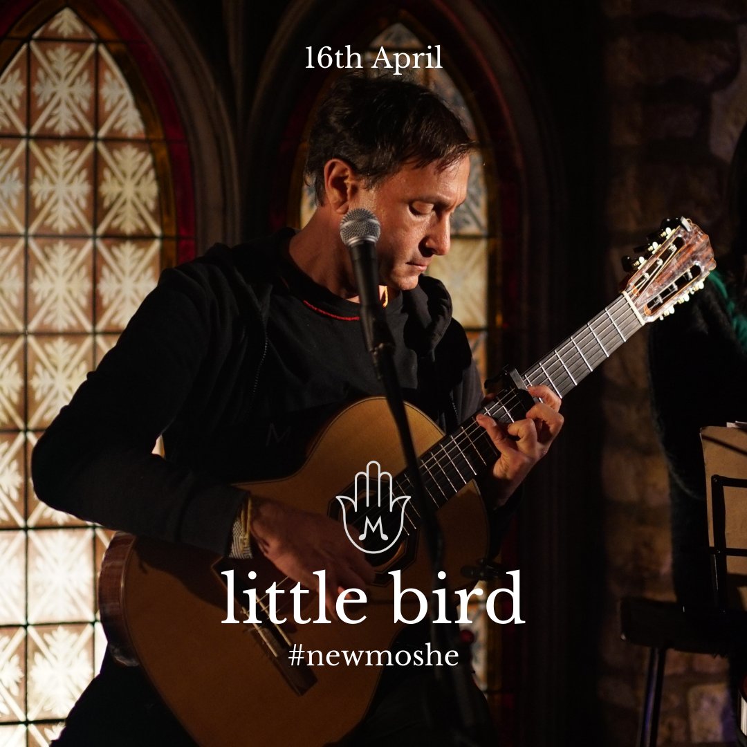 This little white bird came to see me - eepurl.com/hvWs2D