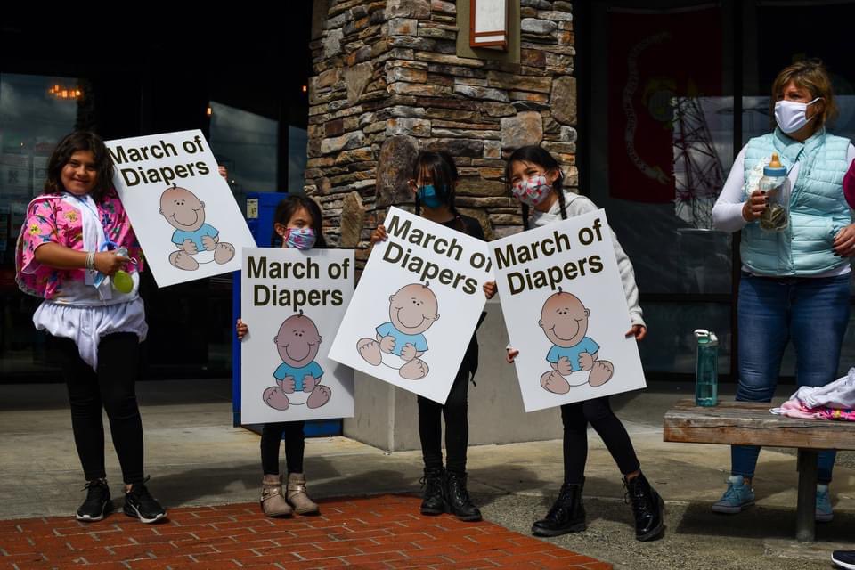 Shelley pauls tweet media