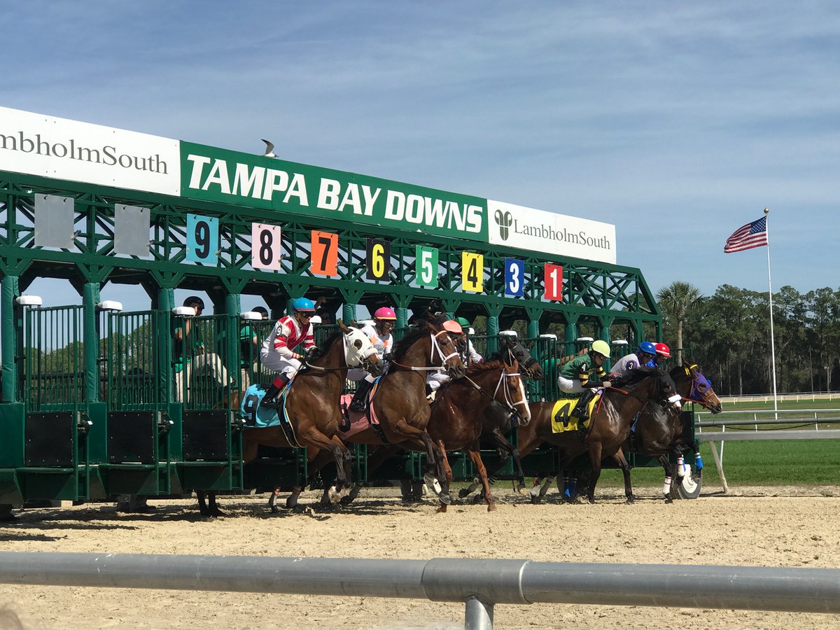 RacingWinning's tweet image. CONGRATS @Jockeydc for a nice win in the 5th on "Bella Pierina" @TampaBayDownsFL !