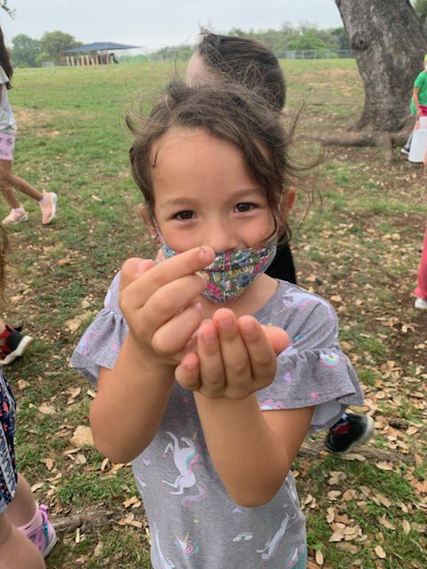 These Firsties got to see the next stage in this life cycle! They immediately went to build a terrarium habitat for their new praying mantis nymphs! #fabrafalcons #lifescienceforkids <a href="/FabraElem/">Fabra Elementary School</a>
