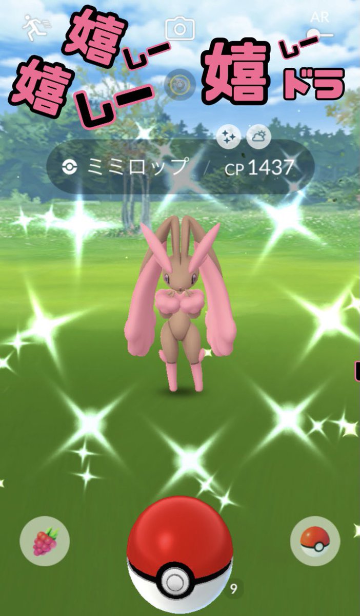 Sbk 最近ほとんどポケアカ ﾌﾌﾌﾌﾌラ ﾌﾌﾌﾌフランソワさぁぁぉぉぁぁん おーはー メガミミロップ 出る前から家付近にミミロップ野生で出てくるようになってたんですよ 進化後の野生で色違いは今回初でした もう即飛び起き 笑