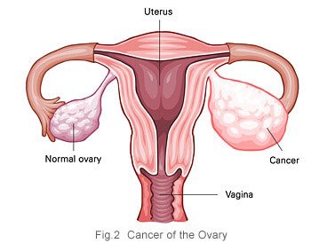 Deina Info On Twitter Https T Co Plqrfwny4n Twitter