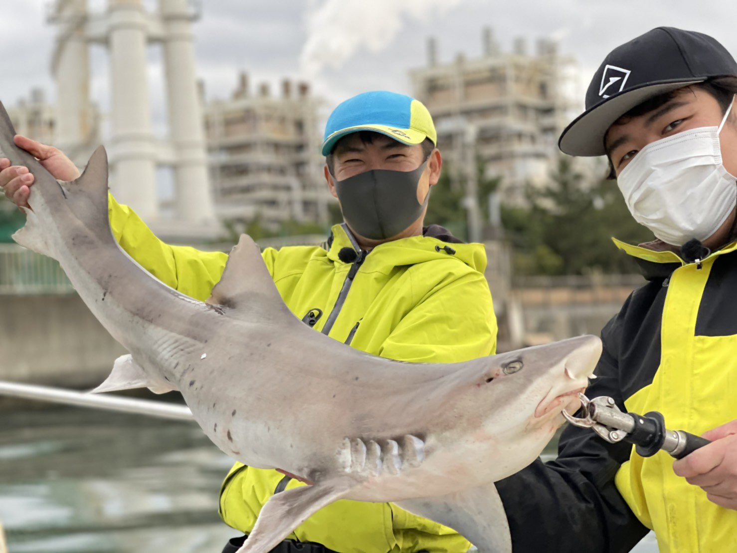 怪魚ハンター山根兄弟 兄 Kimi このあと11時から関東地方では池の水の再放送があります 東京湾のサメ 釣り 実食コーナーで出演しています 良かったらテレビ東京にチャンネルを合わせてみてください T Co Hokczst6ss Twitter