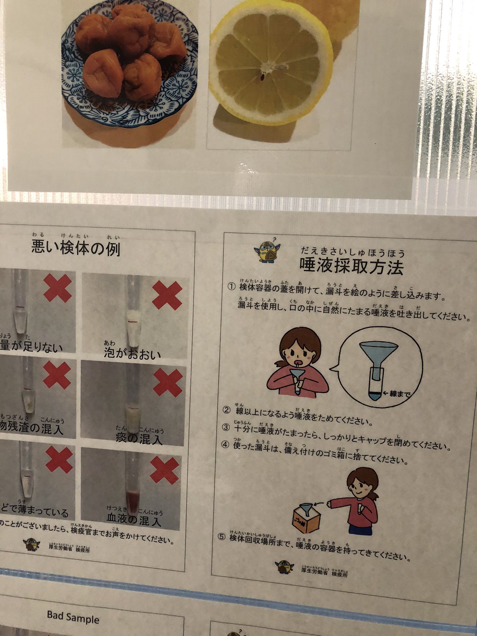 Ken マニラでお掃除サービス 酸っぱいものを見ると唾液が出るのは世界共通だろうけど その知識ってみんな持ってるのかな 梅干しは日本人にしか効かなそう