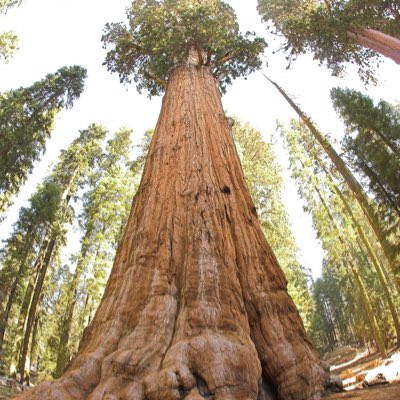 wackingtrumps's tweet photo. #NewProfilePic https://t.co/II1ubF0dPt