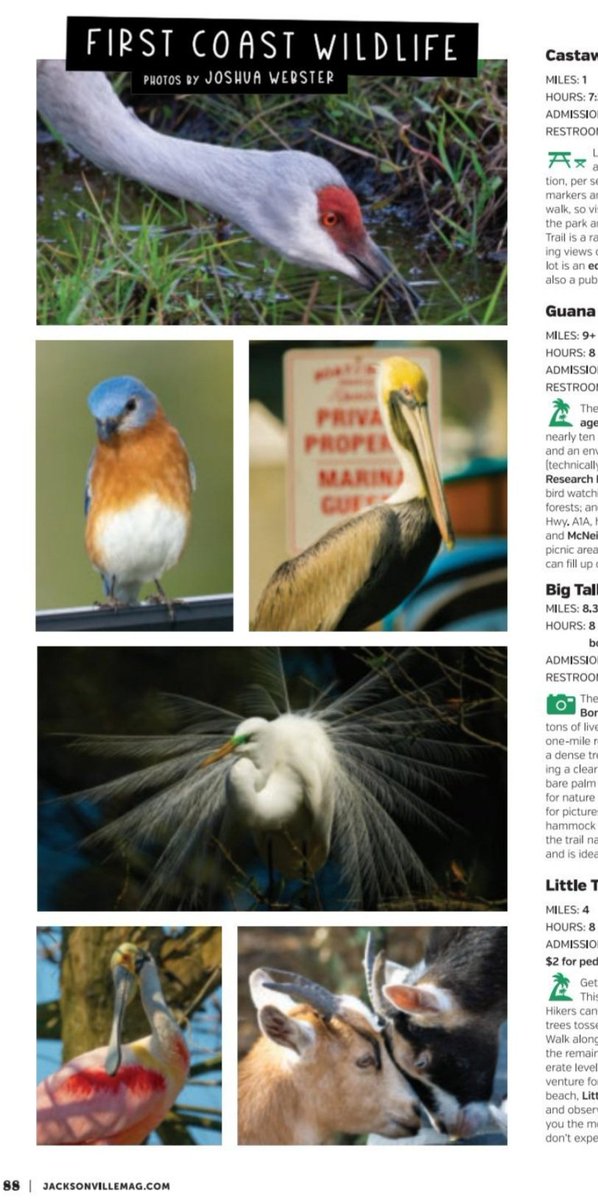 No April Fools joke here, my photos can be found in the April issue of <a href="/JacksonvilleMag/">Jax Magazine</a>!