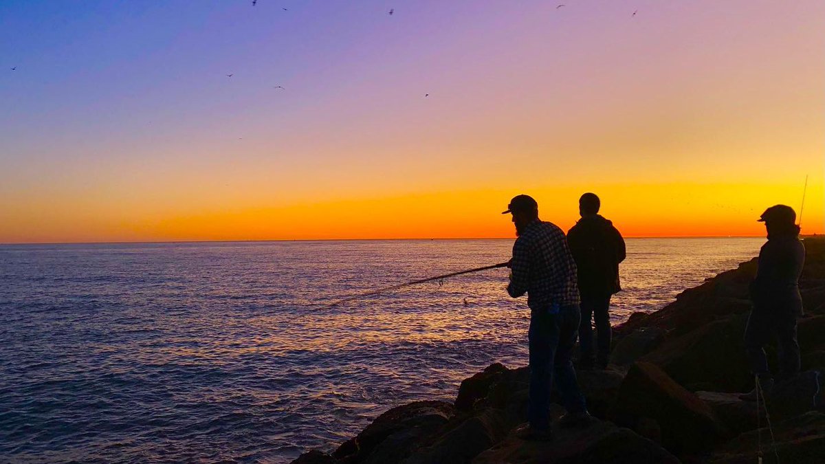 thesfpeninsula's tweet photo. It doesn't get any fresher! 🦀 

📸: jha0616 on IG

#SanMateoCounty #SiliconValley #SFBayArea #playbythebay #Halfmoonbay #visitcalifornia #CAlove #bayareabuzz #SMCSnapshot #crabbing #crabfishing #PillarPointHarbor #sunset #AsFreshAsItGets https://t.co/VNqzIPqNte