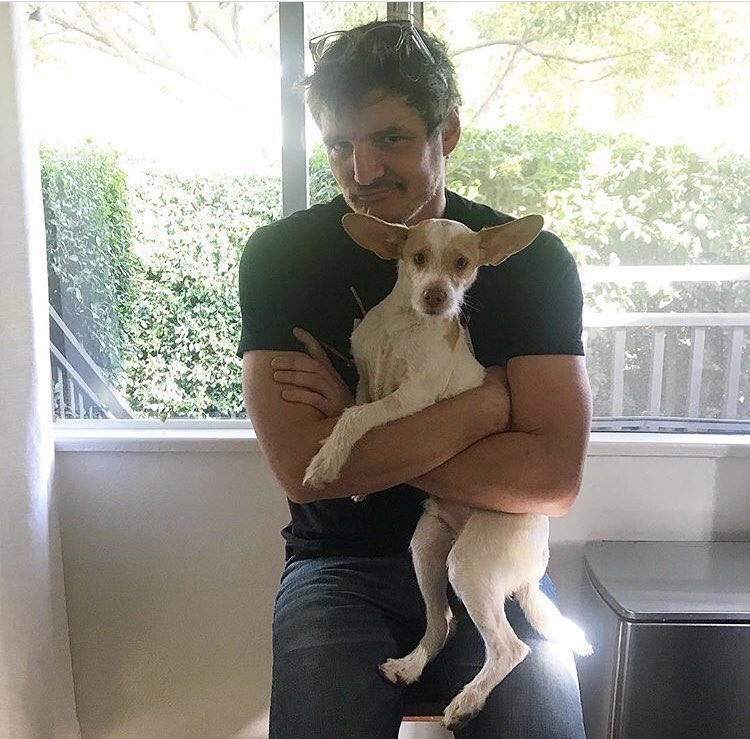 jopedropascal tweet picture