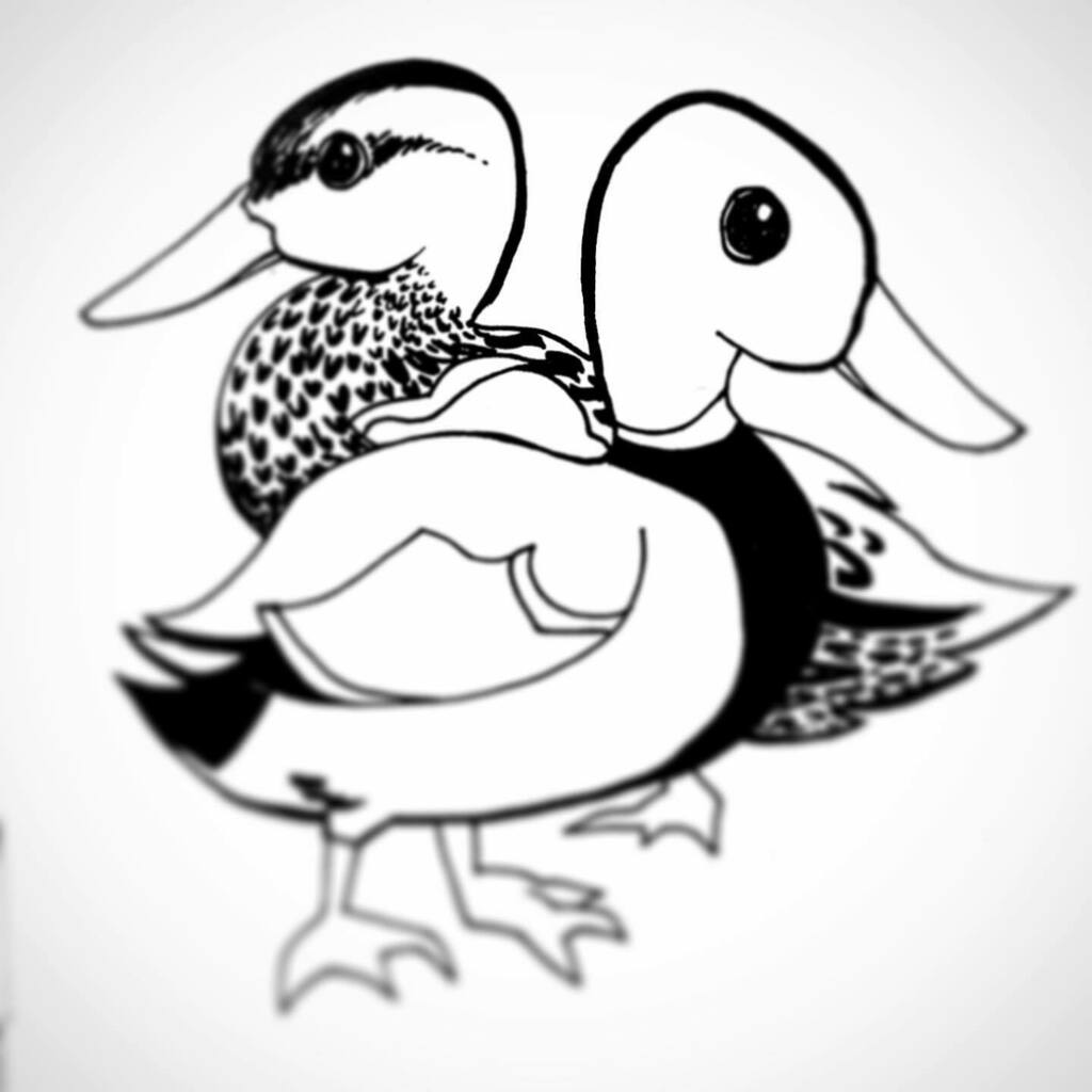 GB_COMICS's tweet photo. A pair of mallards. One of my favourite birds. #DrawLent https://t.co/vwfbikrbSL https://t.co/eroT3UreeT