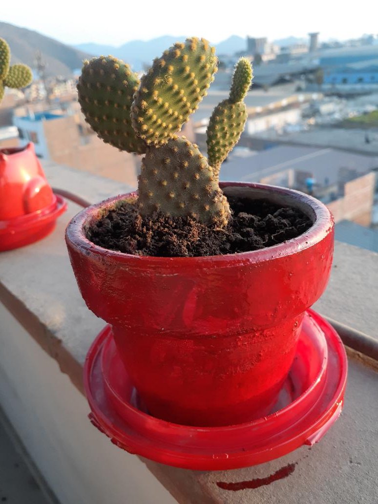 Lou7J's tweet photo. Que energía 🥰🌵 https://t.co/4xPSUCMpYP