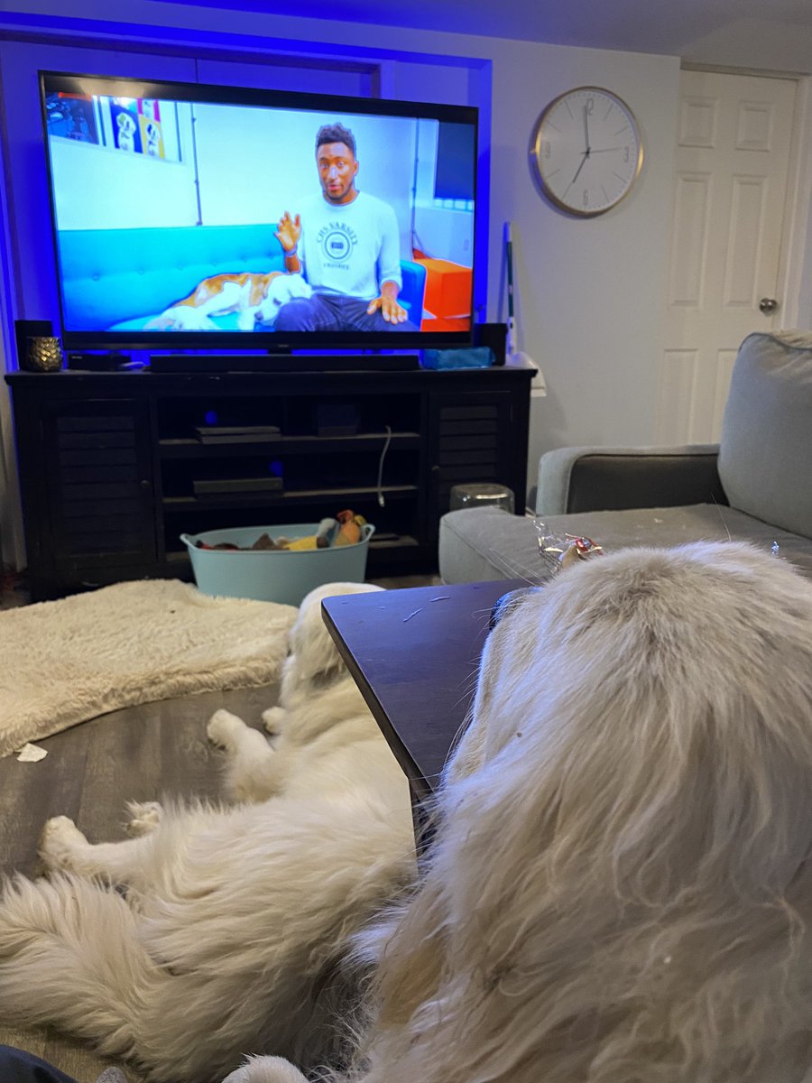 tsmith1223's tweet photo. @MKBHD @AndyManganelli my pups really enjoyed the Mac review, however, Macs security system, set mine off. Must be an auditory sensor that links the systems. Very interesting feature https://t.co/wijPiPKRMK