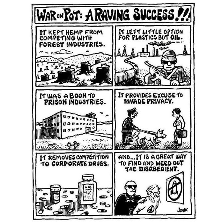 core_cannabis's tweet image. Ever wonder why cannabis was outlawed? #coreissue #core #socialjusticecannabismuseum #cannabismuseum dlvr.it/RwvW9C