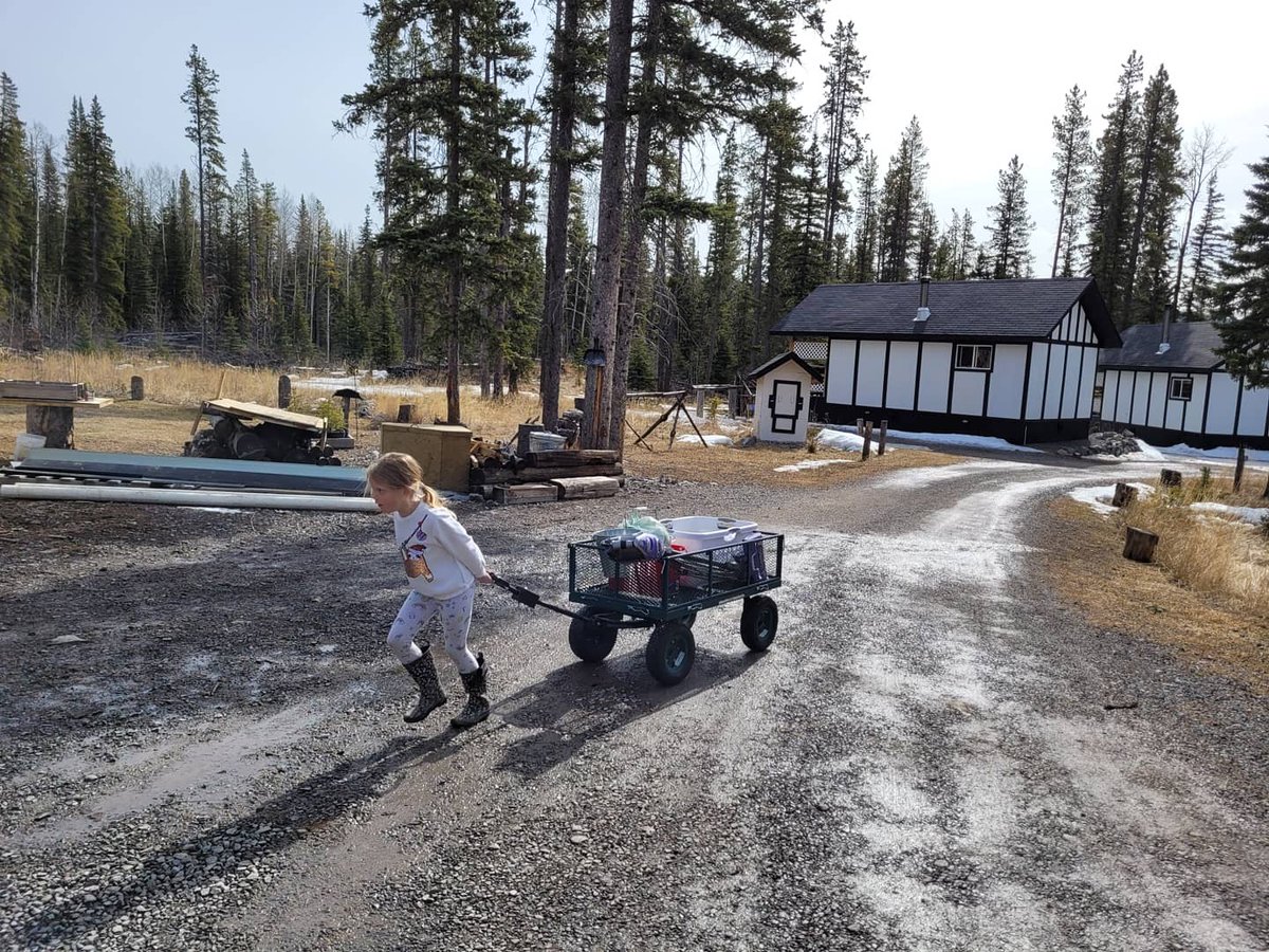 expansecottages's tweet photo. We love it when the schools are on break...that means extra help around the cabins!! 😄😄

#nordegg #nordegglife #nordeggalberta #nordeggadventures
#expansecottages #expansefamily
#nordeggcabins #cabinlife #dtcountry #explorealberta https://t.co/g8byFfoQh0