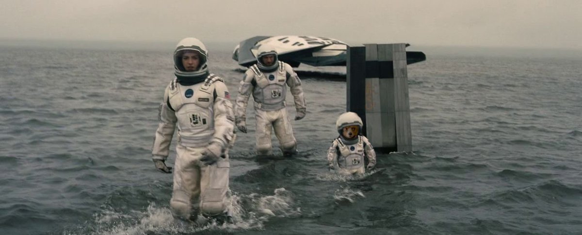 JennMGreenberg's tweet image. A guy on Reddit is editing Paddington Bear into different movie stills daily and it's wonderful.