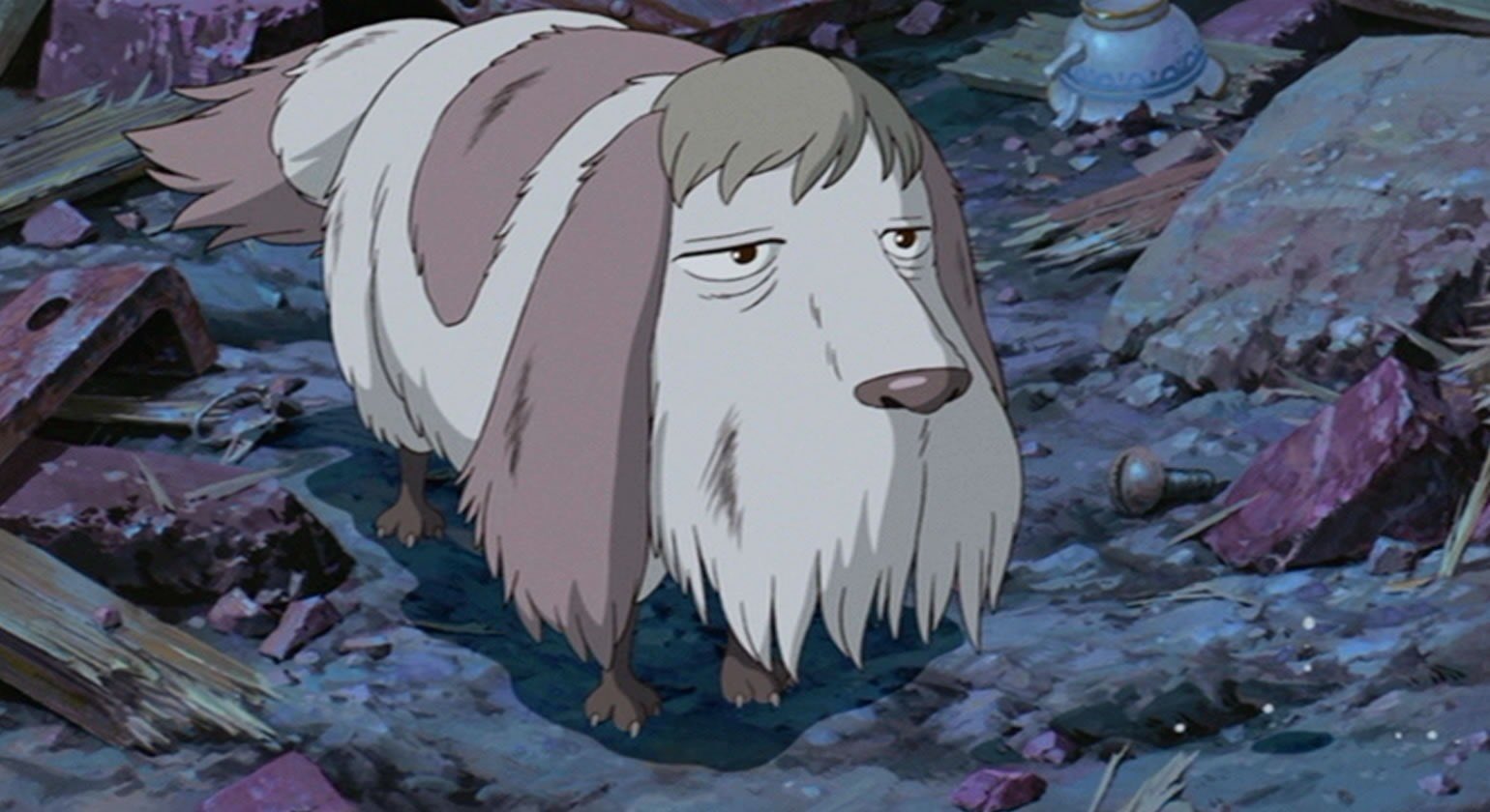 そらたん0211 チャイプー 昨夜ハウル の動く城を見てた娘が気づいて送ってきた映像 ヒン ってトリミング前のボサボサの そら に似てる って ほんまや 思わずヒンの犬種 を調べてみたけど 初耳の犬種でした T Co Kkvkmodoyp Twitter そらたん0211 チャイプー 昨夜ハウル の動く城を見てた娘が気づいて送ってきた映像 ヒン ってトリミング前のボサボサの そら に似てる って ほんまや 思わずヒンの犬種 を調べてみたけど 初耳の犬種でした T Co Kkvkmodoyp Twitter