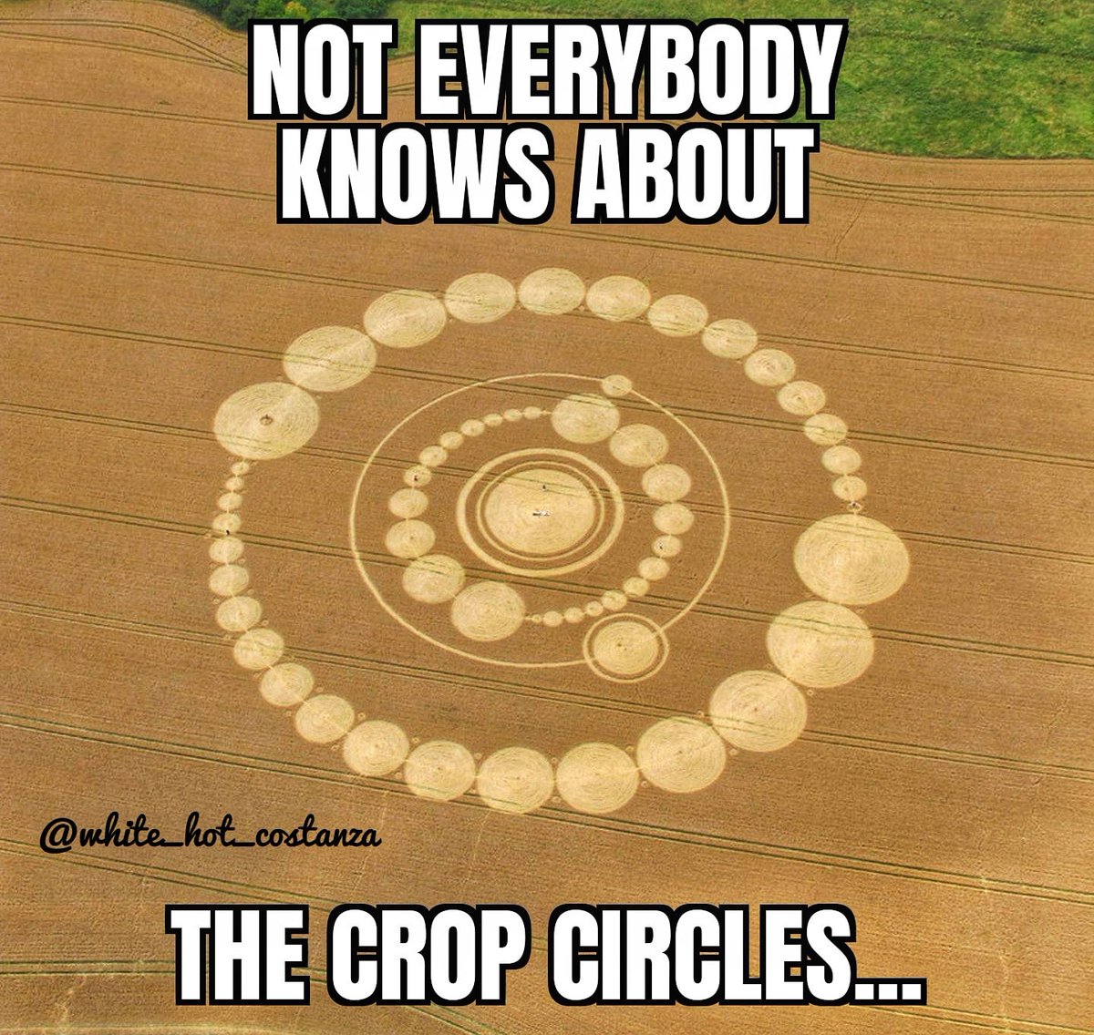 WH_Costanza's tweet photo. Crop Circles? Why don't ya buy something?... #seinfeld #seinfeldmeme #seinfeldmemes #jerryseinfeld #georgecostanza #elainebenes #cosmokramer #newman #cropcircles https://t.co/ucegAj3570