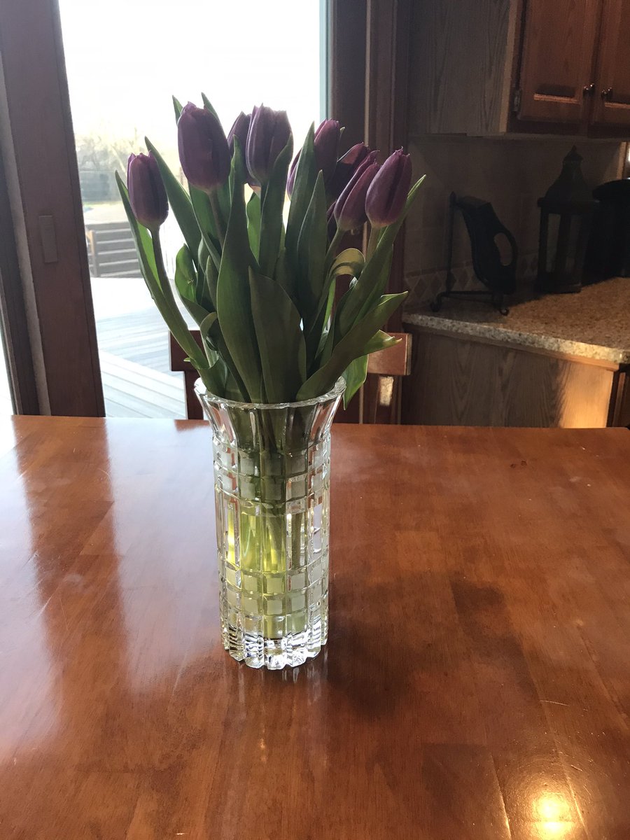 Jmalenich's tweet photo. Former student of mine, Katie (Johns) Dodds, adopted our senior son Luke. She dropped off goodies for him and flowers for me!  She is so thoughtful! https://t.co/XOZg16BwFj