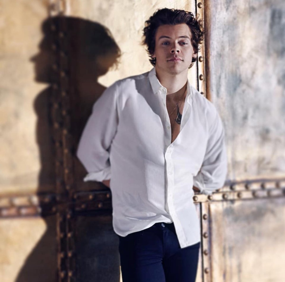 harryzstan's tweet photo. harry styles is a real life disney prince https://t.co/2VD9np1sDz