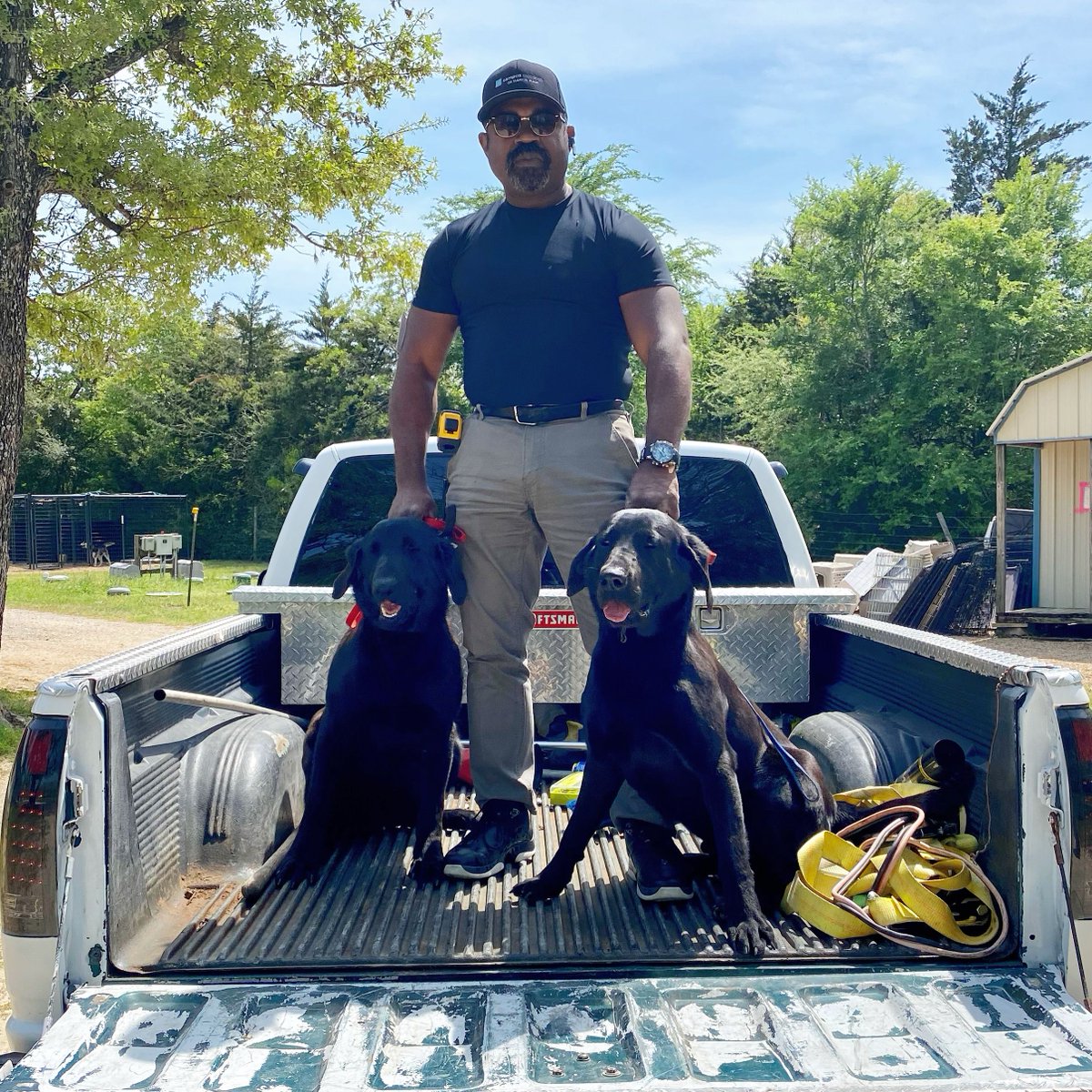 AggielandHumane's tweet photo. Heath &amp; Gator broke free &amp; took a quick stroll around town! Thankfully, they found their way to Aggieland Humane, we found their microchips, and we were able to call their dad to come pick them up!

Is your pet microchipped??
No? Come see us tomorrow btw noon and 3 for one! https://t.co/BcCHwgHp8f
