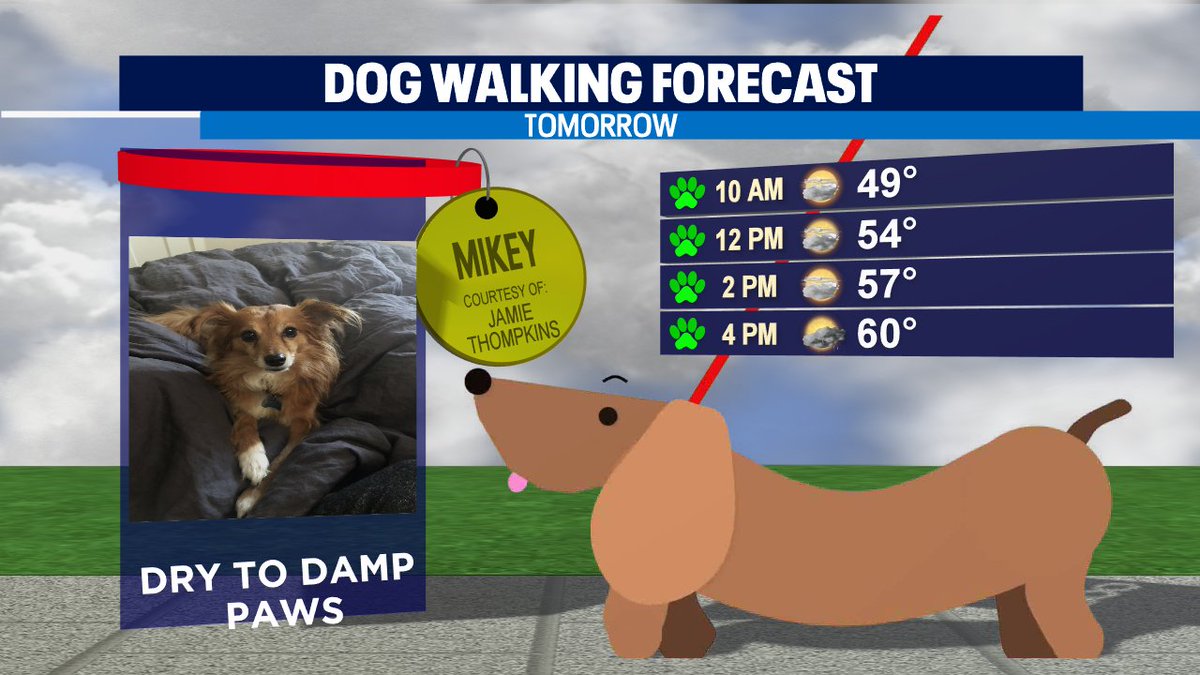 Erin Mayovsky tweet media