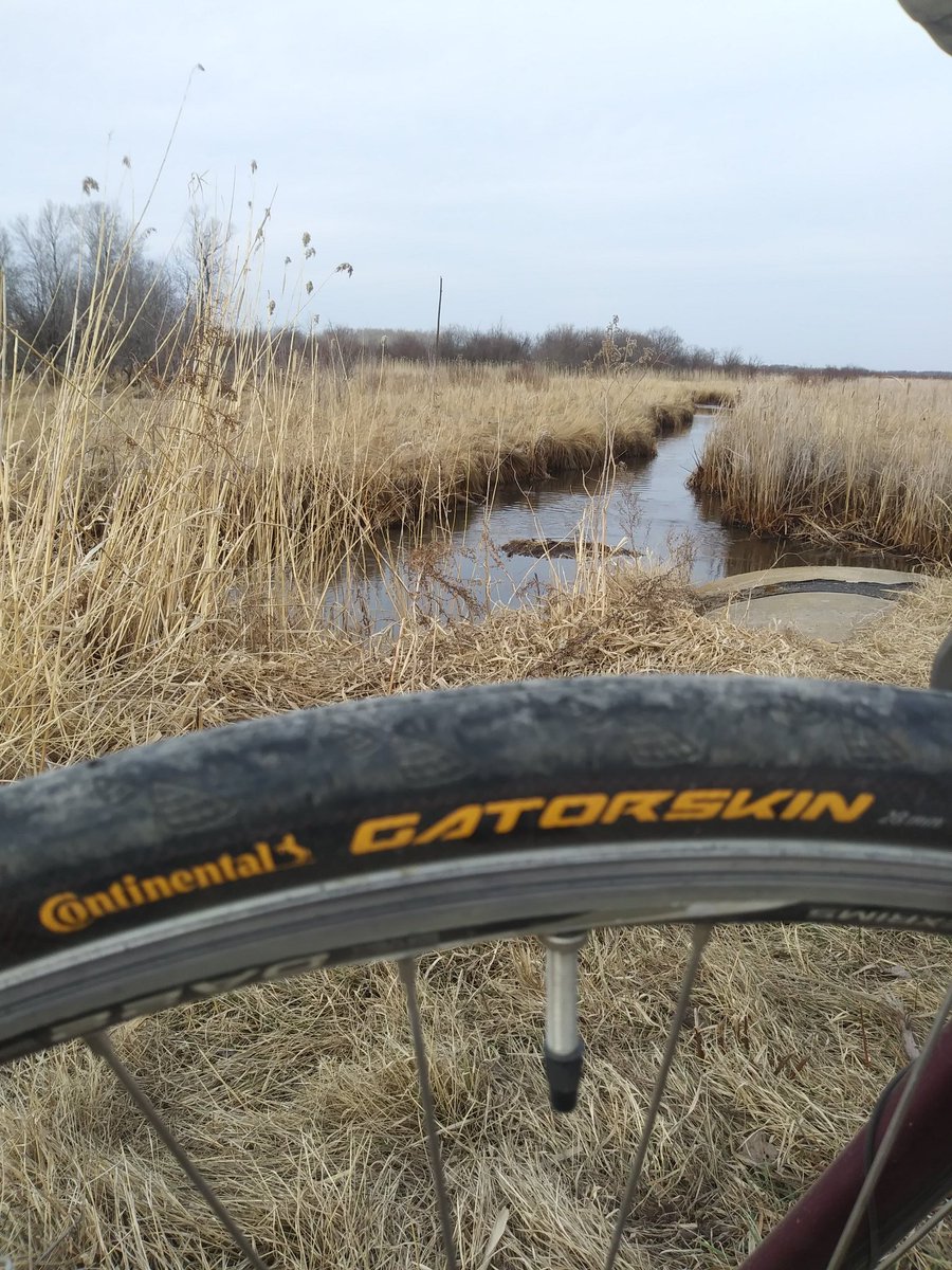 Great ride, day 2 of #30DOBMN #Gatorskin #30DaysOfBiking