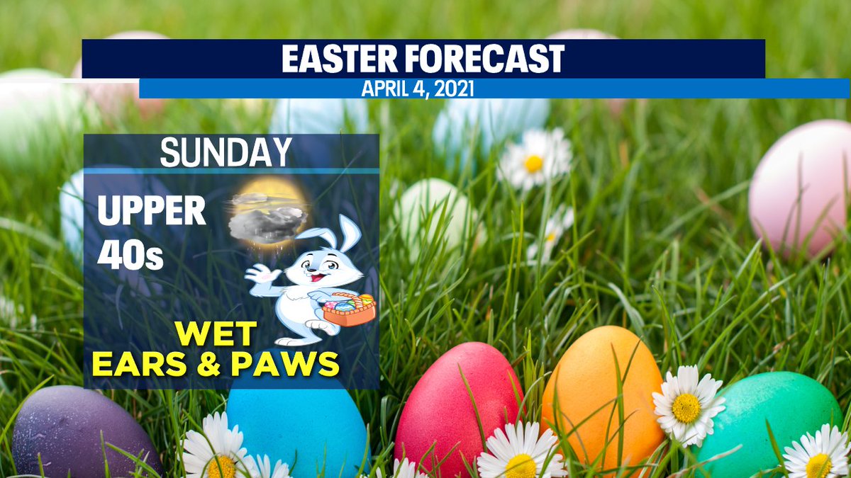 Erin Mayovsky tweet media