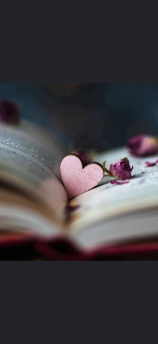 Farah.labibi (@farahlabibi) on Twitter photo 