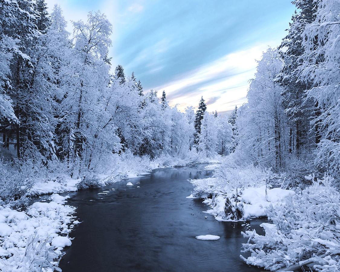 Jeff Bennett tweet media