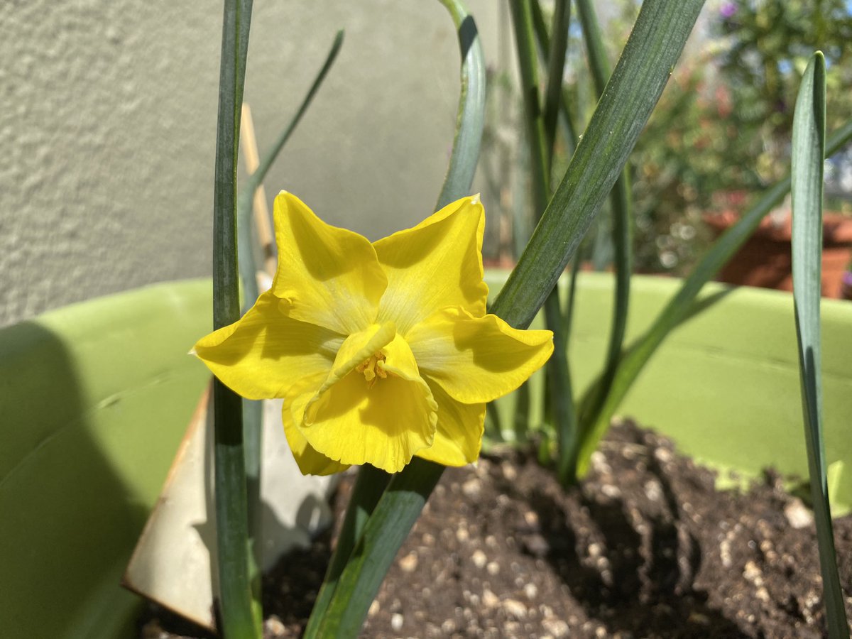 leap2live's tweet image. Be the change! #Corevaluesinaction