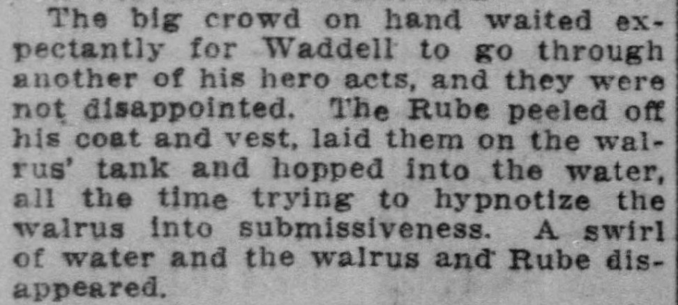i& #39;m so sorry i really thought i was done, but then i found this story in which rube tried to "hypnotize a walrus into submissiveness." the walrus ripped rube& #39;s pants off and then beat the shit out of him.