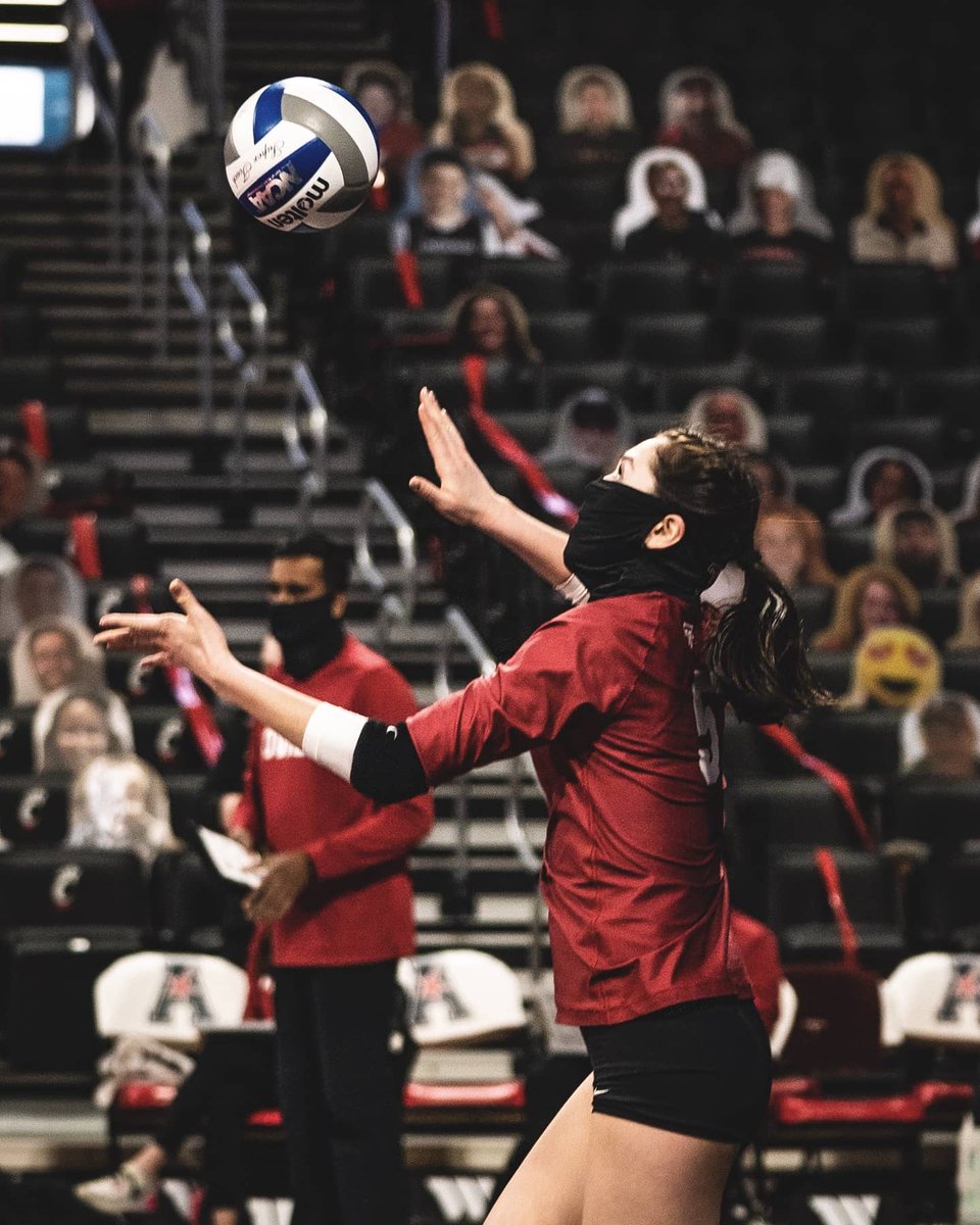 Temple Volleyball tweet media