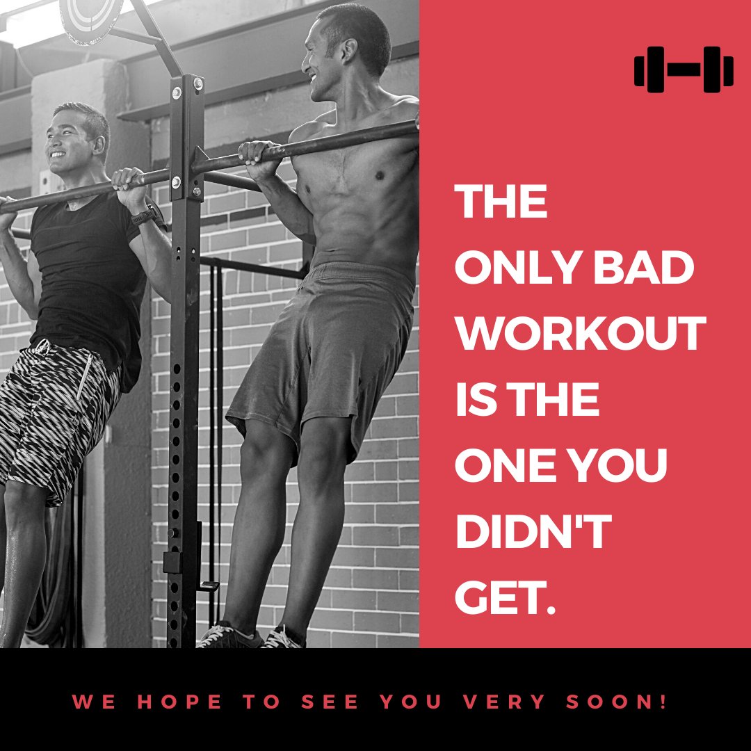 Stone Tree tweet media