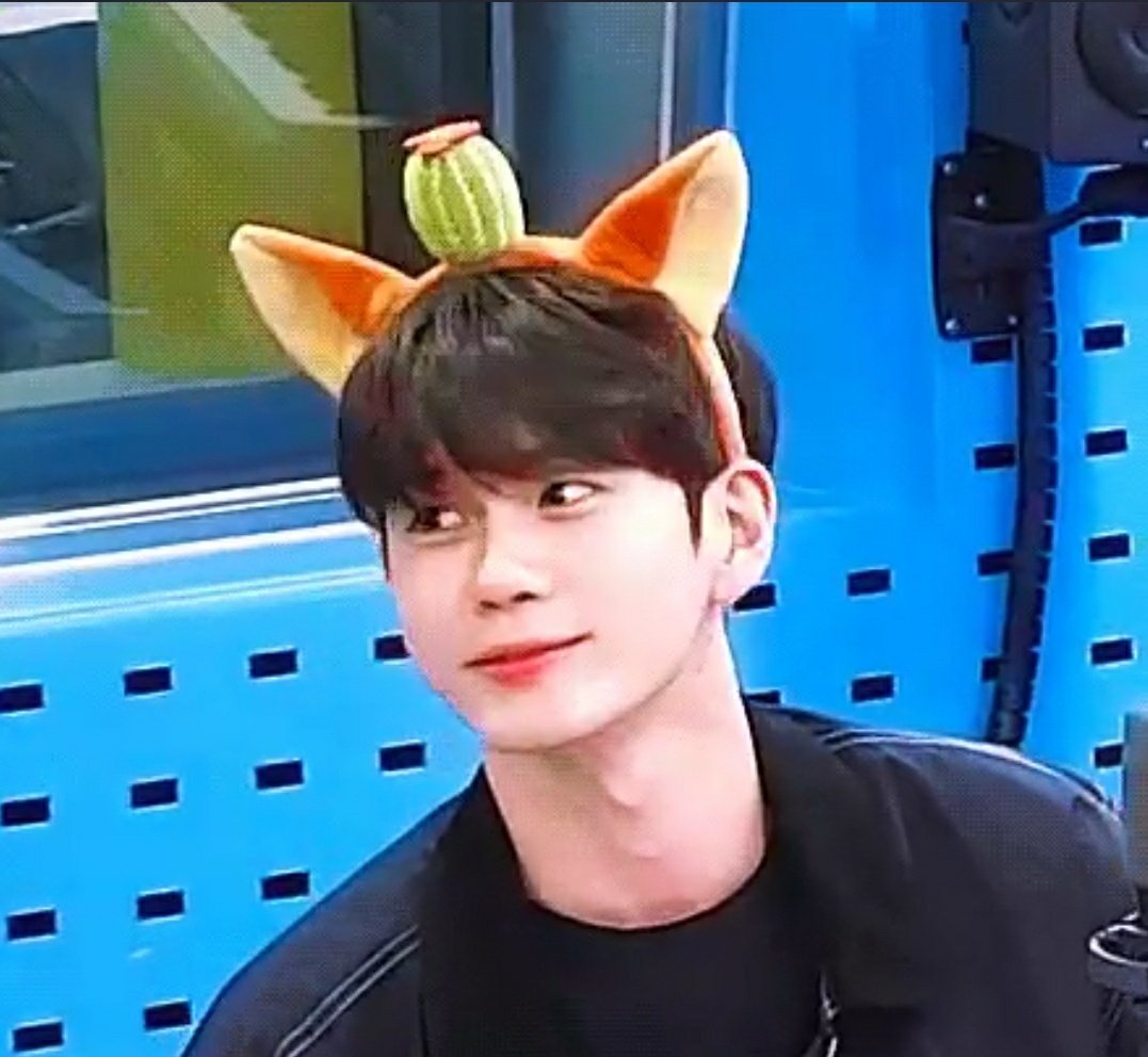 ongseongwupics_'s tweet photo. #옹성우 #OngSeongwu 
#邕圣祐 #องซองอู #オンソンウ  
©️ on pic https://t.co/gLRPCSzO6V
