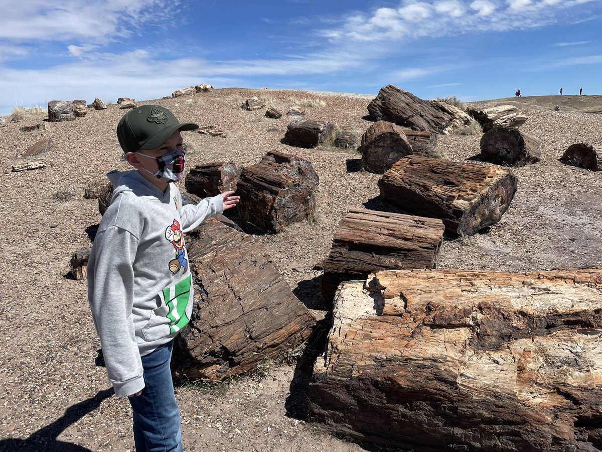 Quick stop at  #petrifiedforest National park.