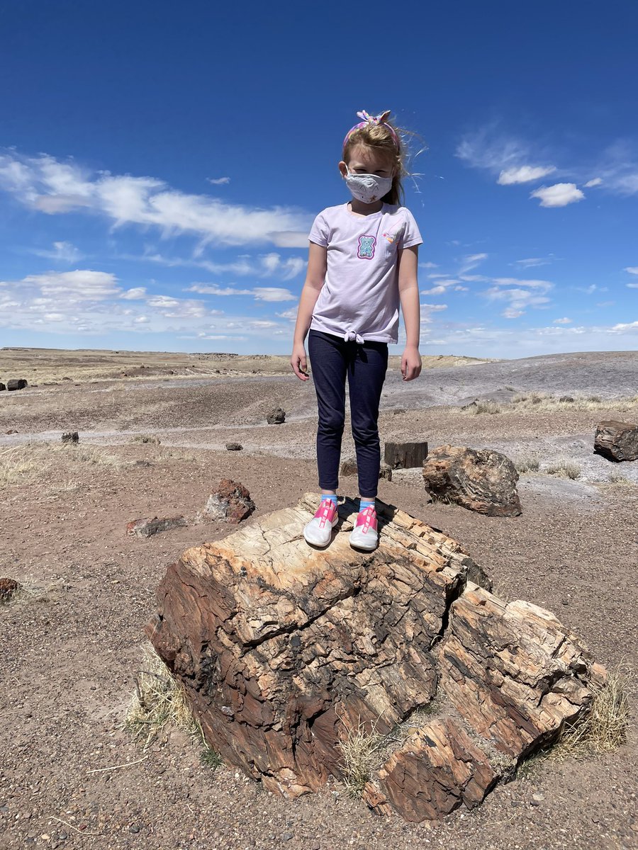 Quick stop at  #petrifiedforest National park.