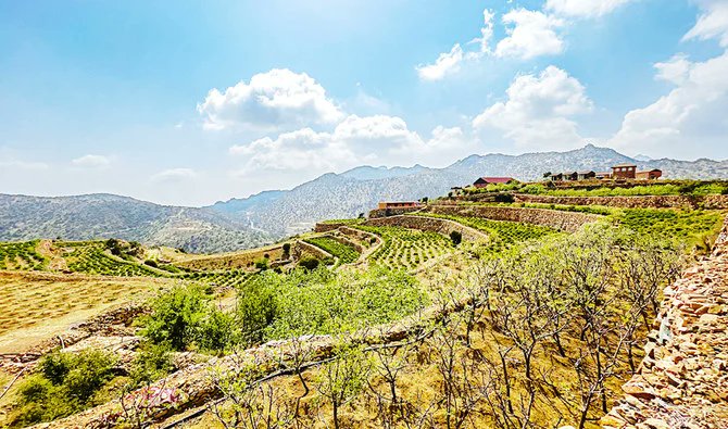 arabnews's tweet photo. #SaudiArabia’s summer capital #Taif abloom with millions of spring roses. https://t.co/jVt61DnN3z https://t.co/z64a47o4VF
