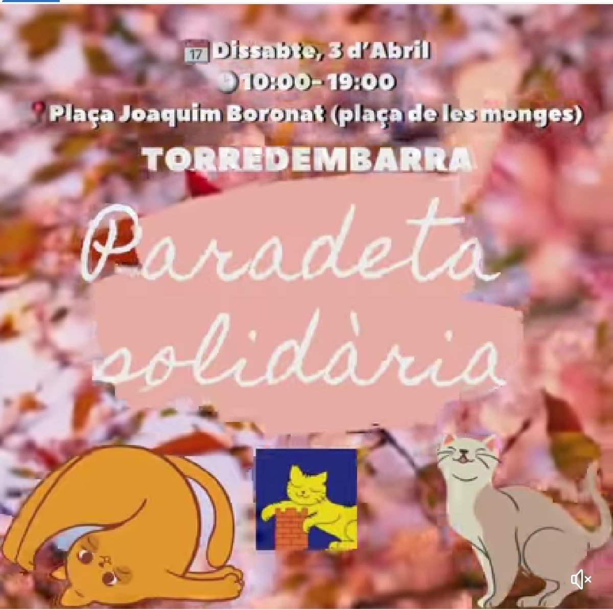 torrecatsocial's tweet photo. 📢AVUI, PARADETA SOLIDÀRIA DE TORRECAT🎉
Tenim moltes costes artesanals per vendre i així poder pagar costos veterinaris dels gats del carrer i també farem recollida de pinso! T'hi esperem!😺🙏
@AjTorredembarra RT si us plau!
#Torredembarra #Torrecat #paradeta #gatsdecarrer https://t.co/WQSJSi4hF5