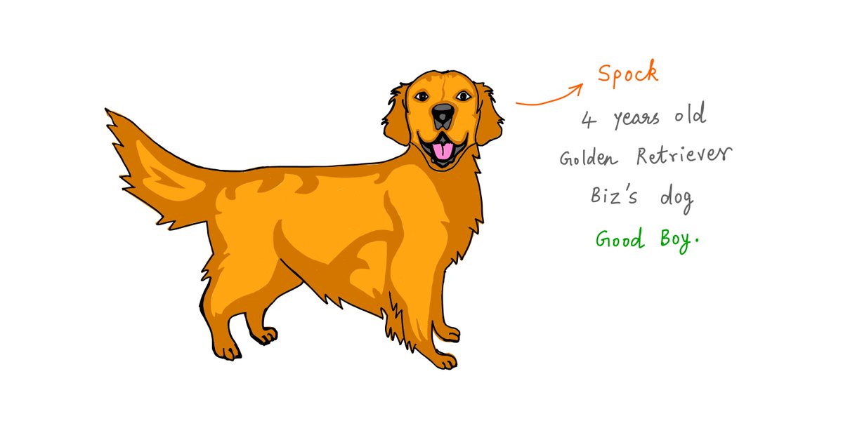 3/This is Spock.He's a 4 year old Golden Retriever who belongs to Biz.He's a Good Boy.